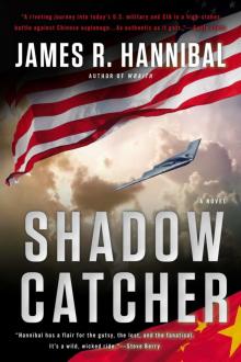      Shadow Catcher