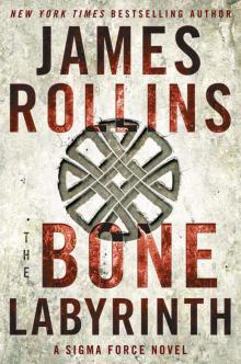      The Bone Labyrinth