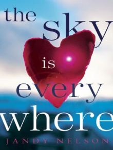      The Sky Is Everywhere