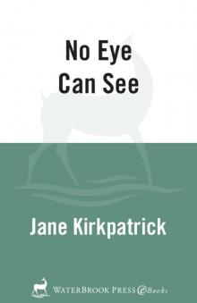      No Eye Can See