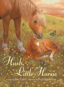      Hush, Little Horsie