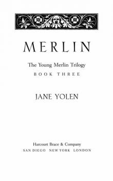      The Young Merlin Trilogy
