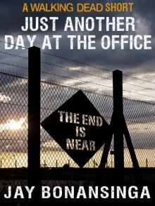      Just Another Day at the Office