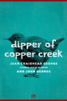      Dipper of Copper Creek