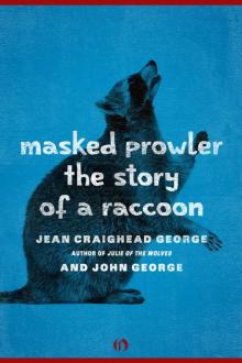      Masked Prowler: The Story of a Raccoon