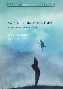      My Side of the Mountain