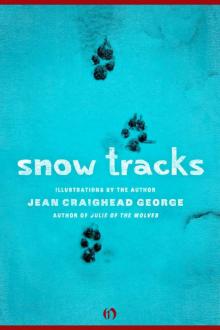      Snow Tracks
