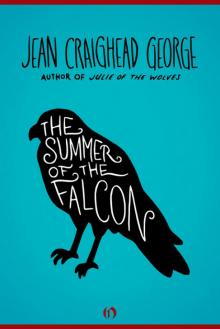      The Summer of the Falcon