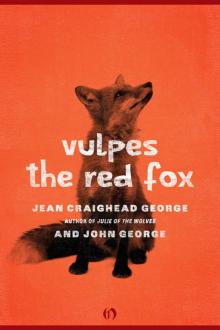      Vulpes, the Red Fox