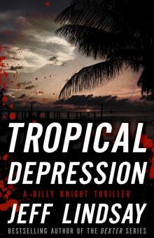      Tropical Depression