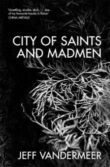      City of Saints and Madmen