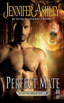      Perfect Mate
