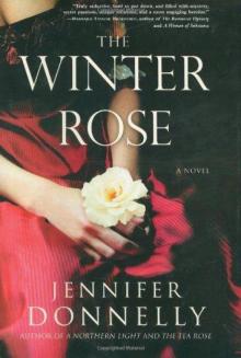      The Winter Rose