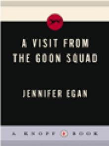      A Visit From the Goon Squad