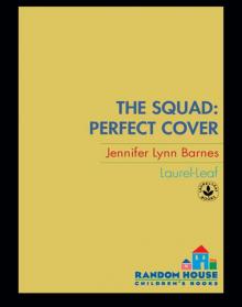      Perfect Cover