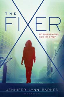      The Fixer