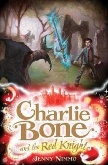      Charlie Bone and the Red Knight