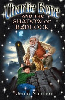      Children of the Red King Book 07 Charlie Bone and the Shadow of Badlock