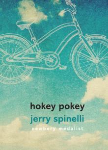      Hokey Pokey
