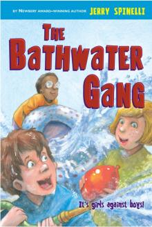      The Bathwater Gang