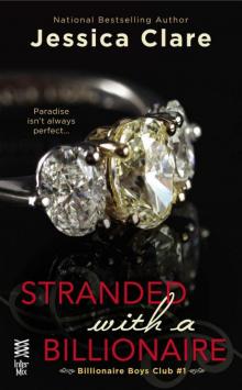      Stranded With a Billionaire