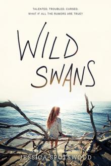      Wild Swans