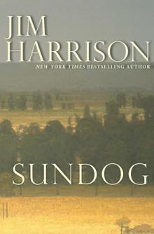      Sundog (Contemporary Classics)