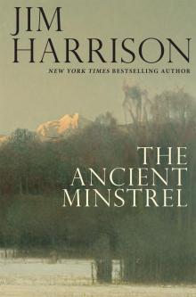      The Ancient Minstrel