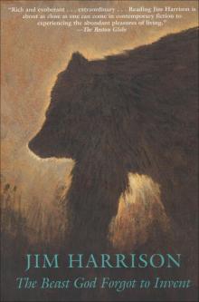      The Beast God Forgot to Invent