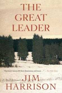      The Great Leader