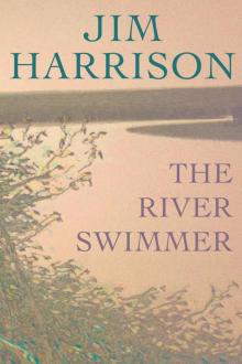      The River Swimmer: Novellas