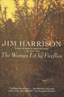      The Woman Lit by Fireflies