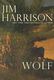      Wolf