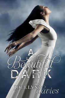      A Beautiful Dark