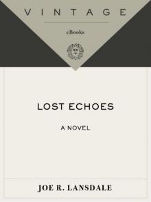      Lost Echoes