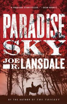      Paradise Sky