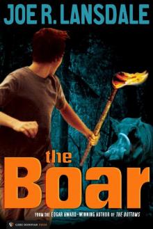      The Boar