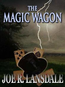      The Magic Wagon