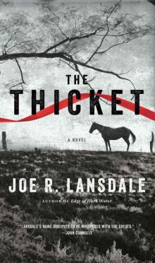      The Thicket