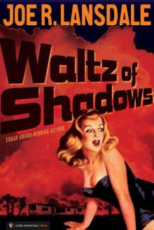      Waltz of Shadows