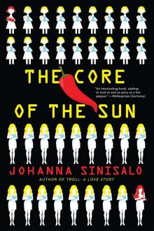      The Core of the Sun