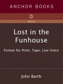      Lost in the Funhouse