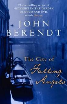      The City of Falling Angels