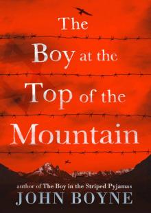      The Boy at the Top of the Mountain