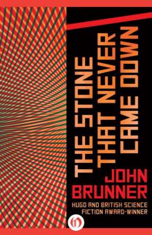      The Stone That Never Came Down
