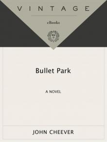      Bullet Park