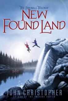      New Found Land