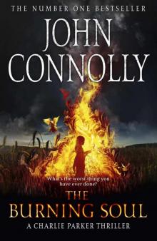      The Burning Soul