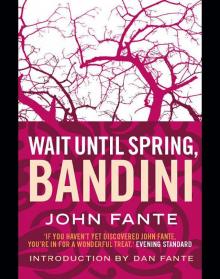      Wait Until Spring, Bandini