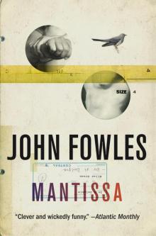     Mantissa